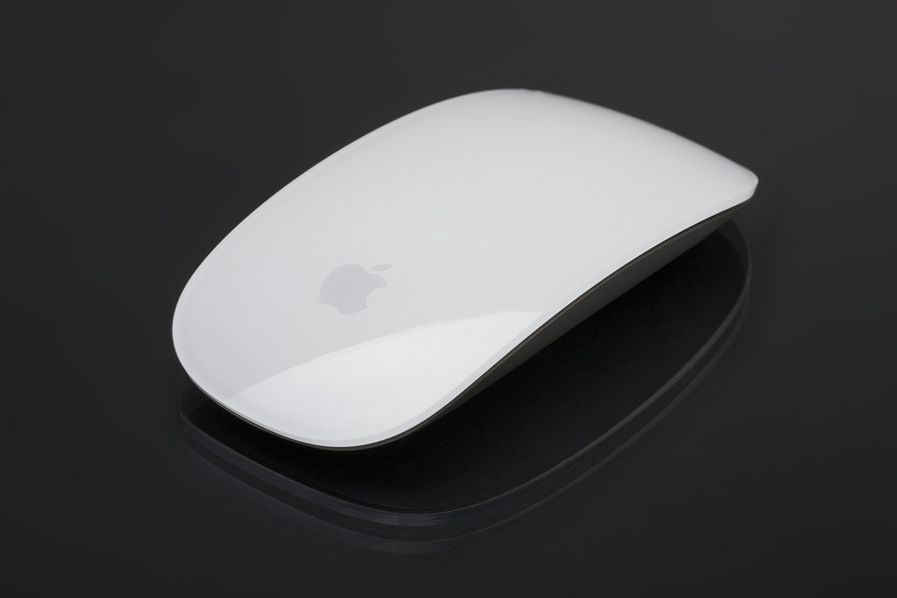 apple  mouse  hardware free photo