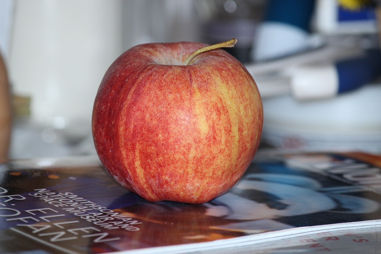 apple  fruit  red apple free photo