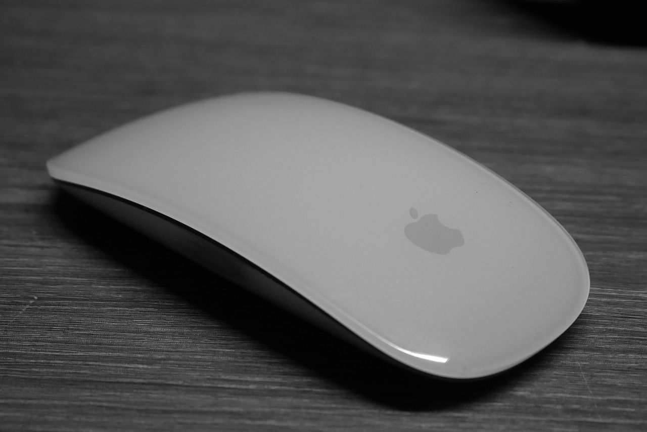 apple  mouse  computer free photo