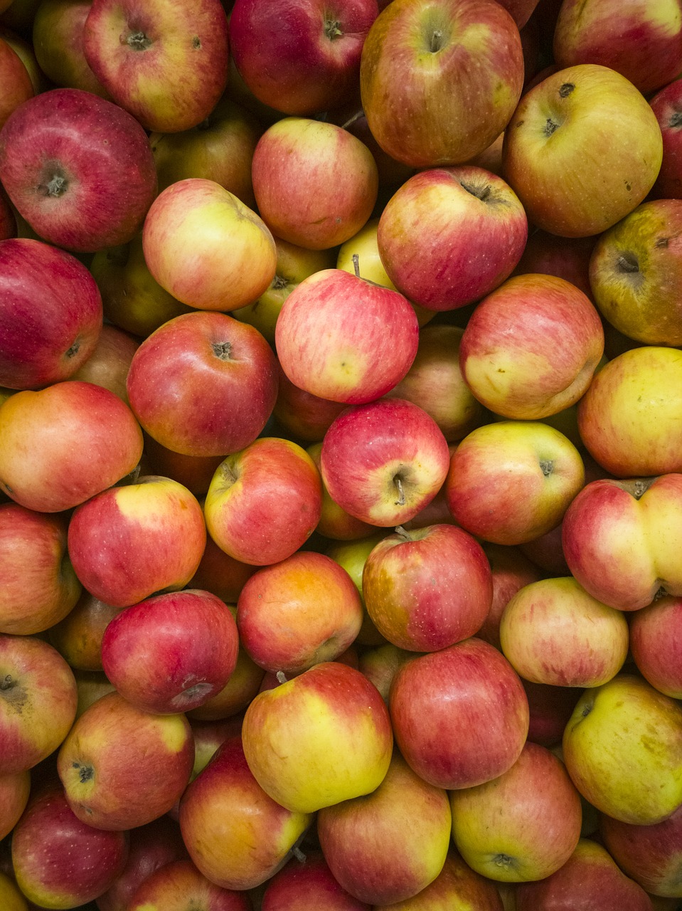 apple  market  fruit free photo