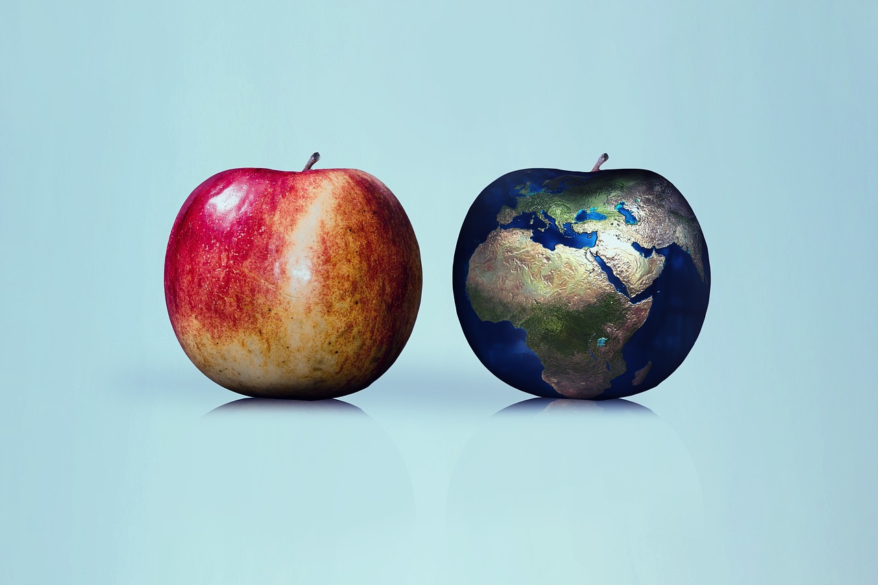 apple  earth  globe free photo