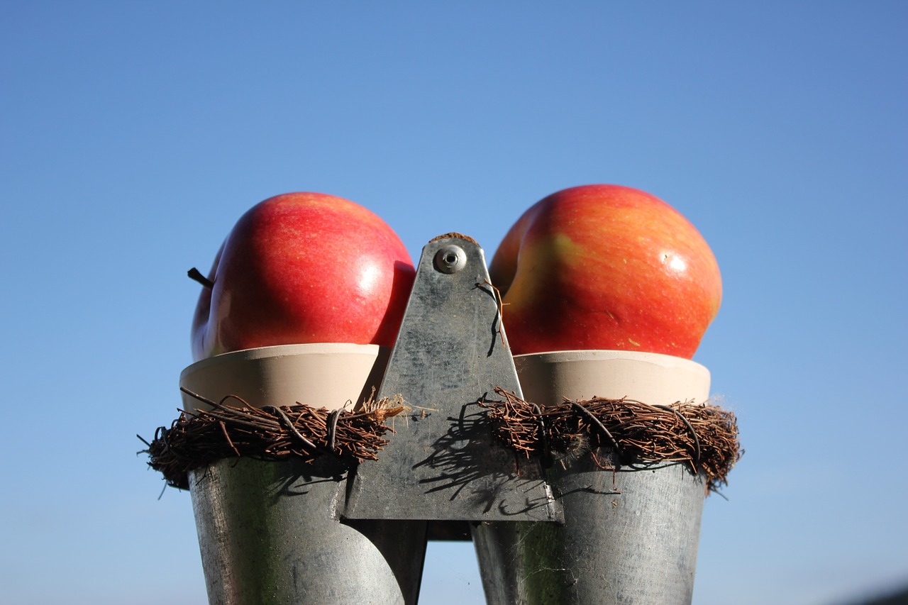 apple nature red free photo