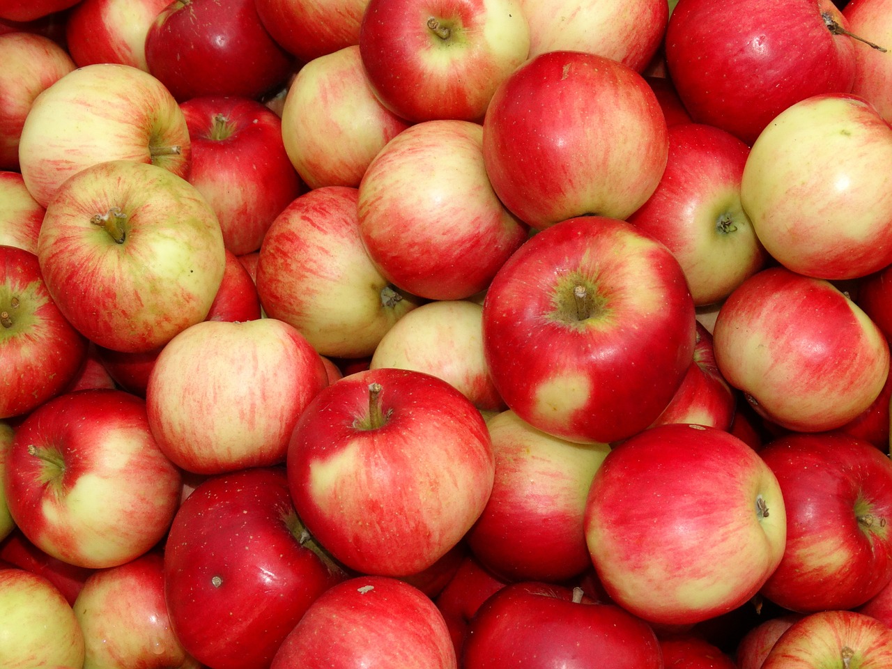 apple apple bunch fruits free photo