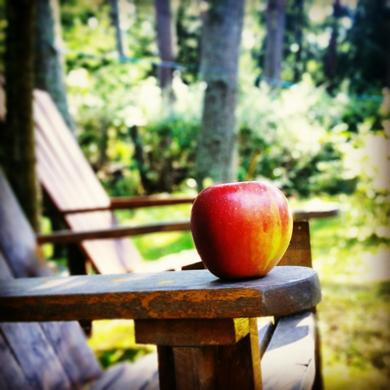 apple fruit eating free photo