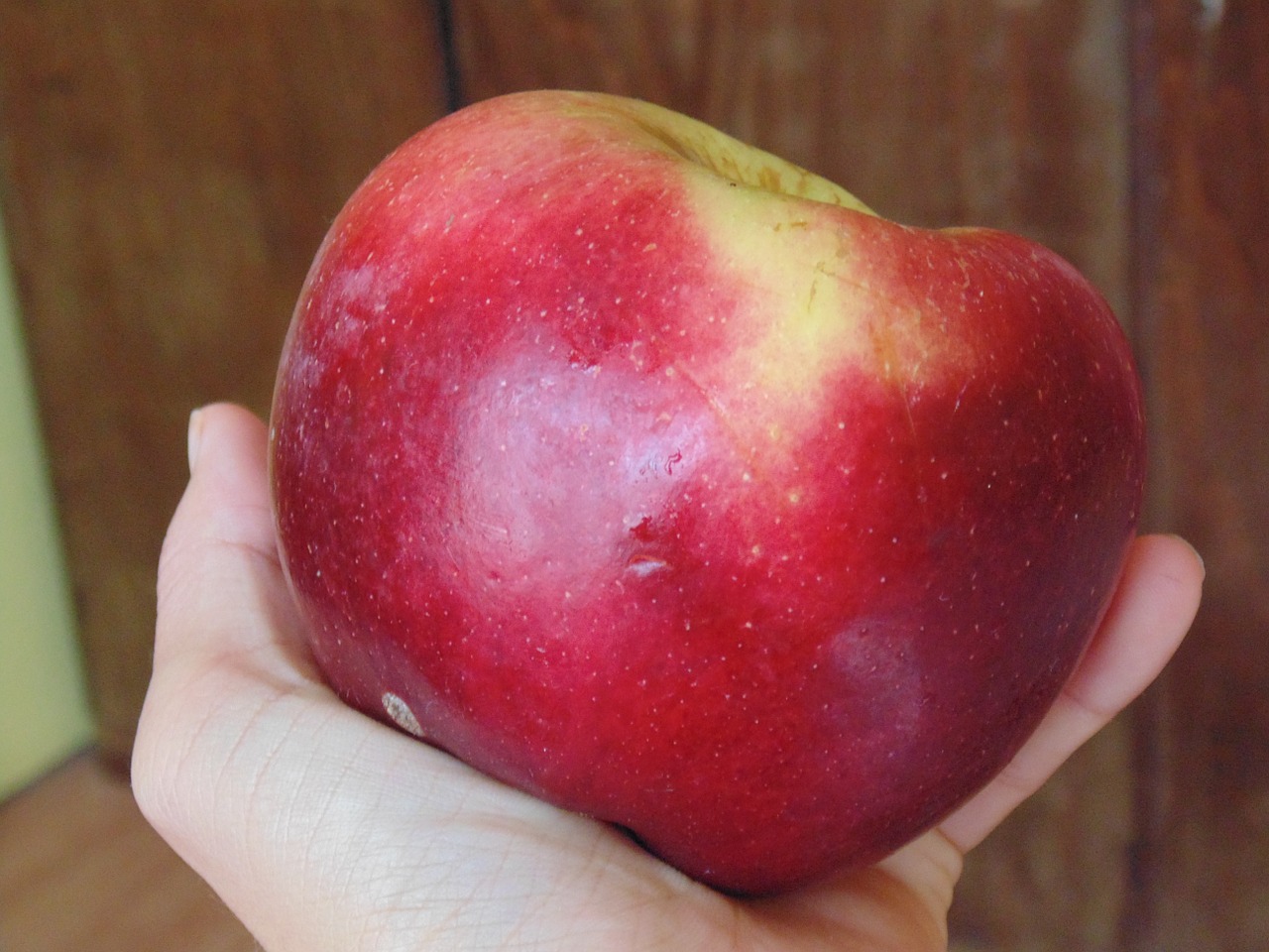 apple red hand free photo