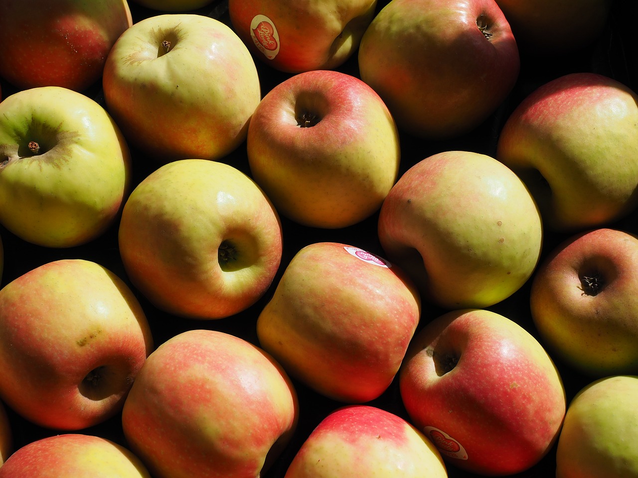 apple market fruit free photo