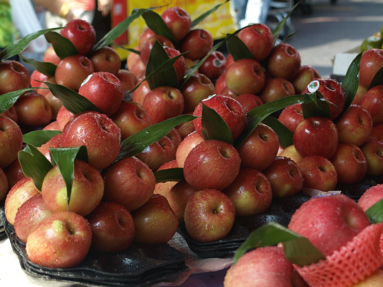 apple red food free photo