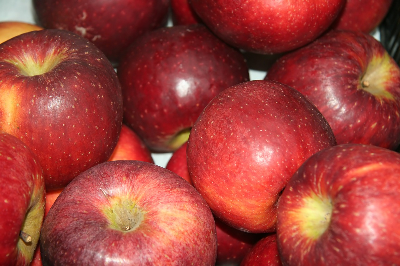 apple fruit fruit season free photo