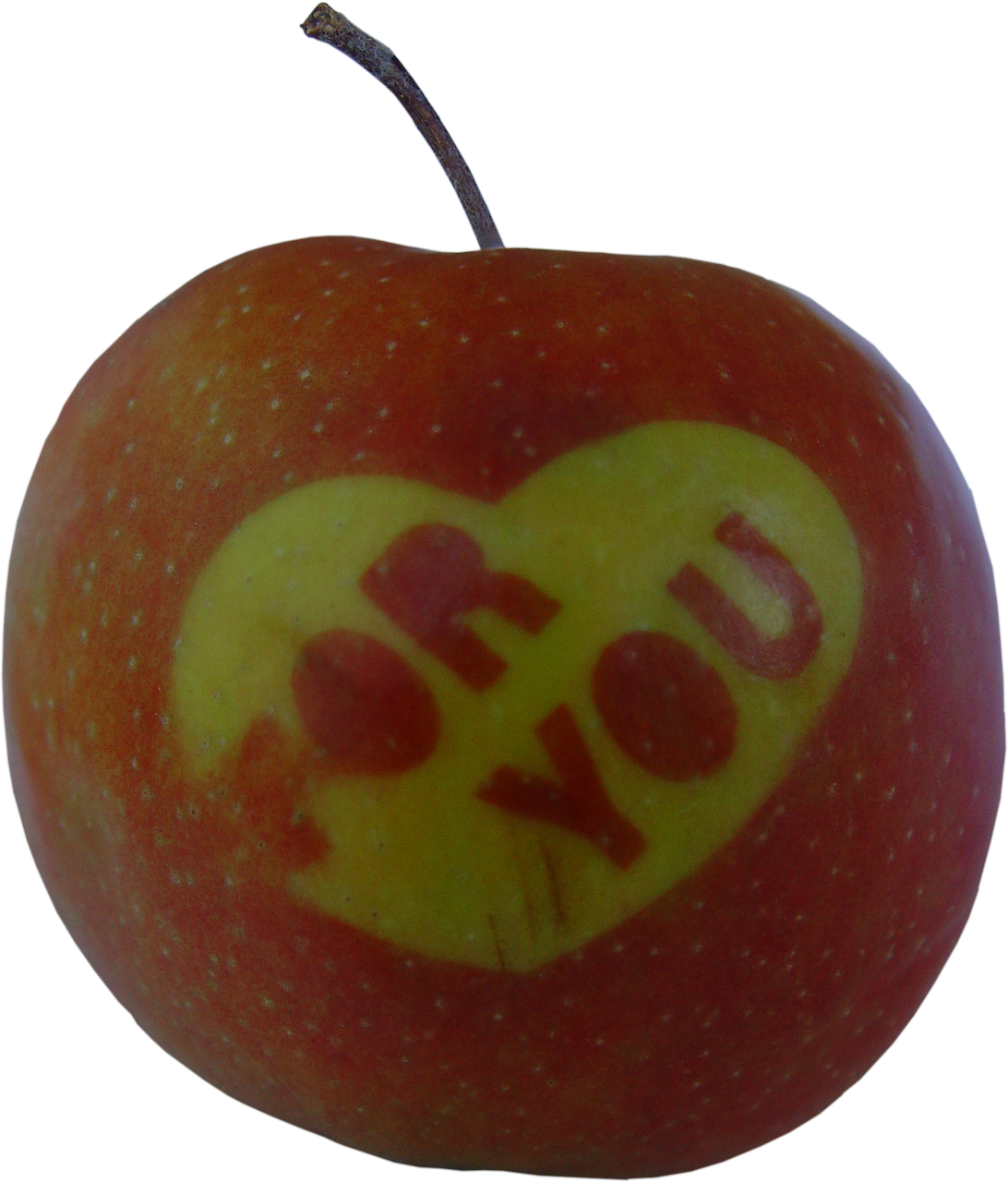 apple heart love free photo