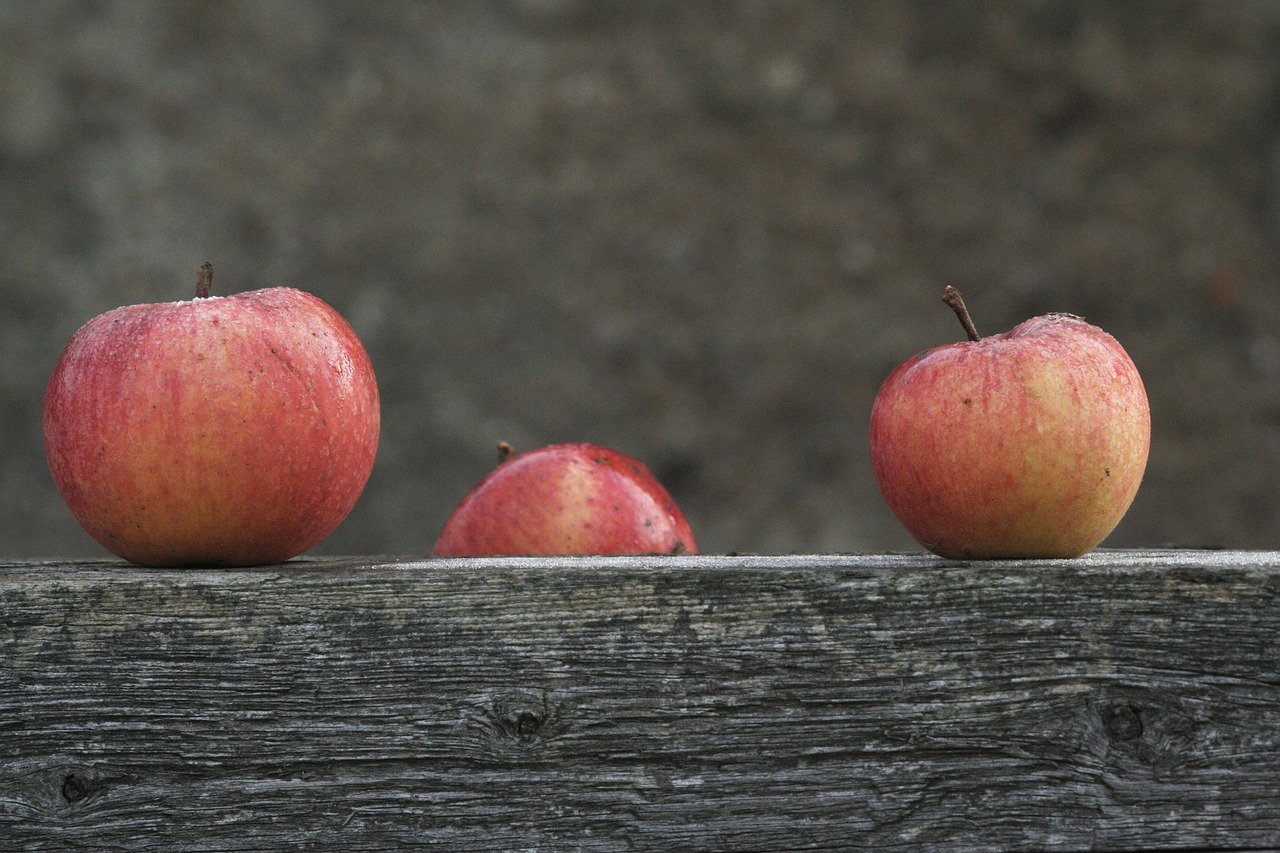 apple fruit food free photo