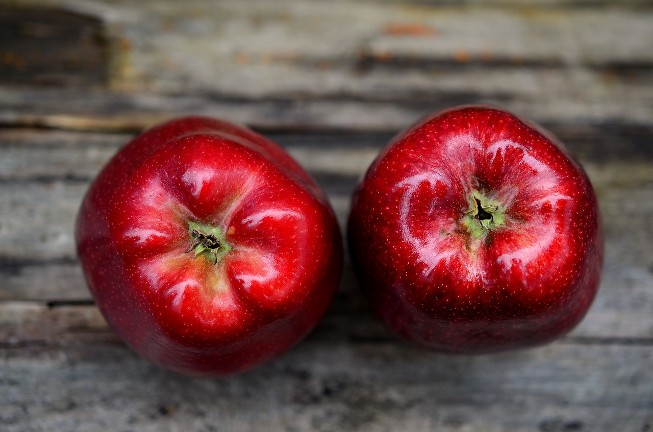 apple fruit red free photo