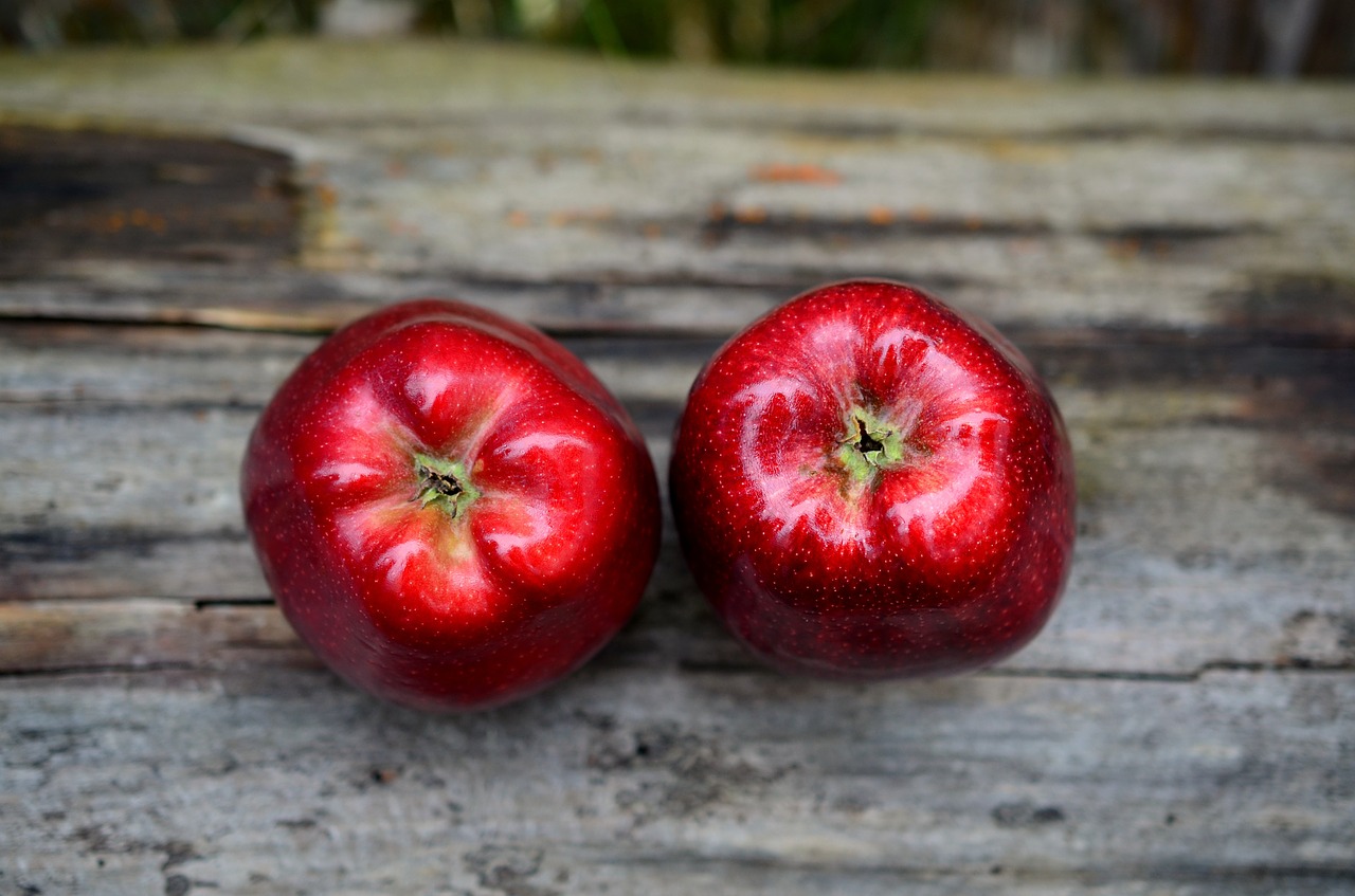 apple red red apple free photo