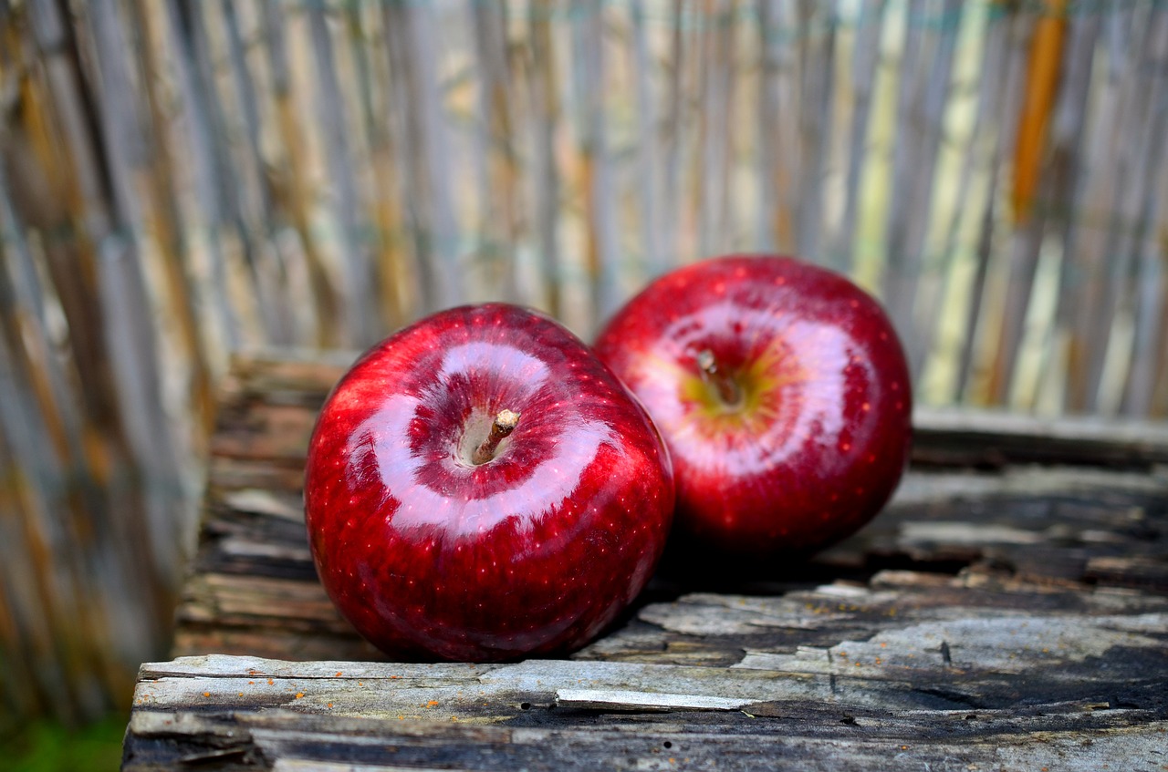 apple red apple fruit free photo