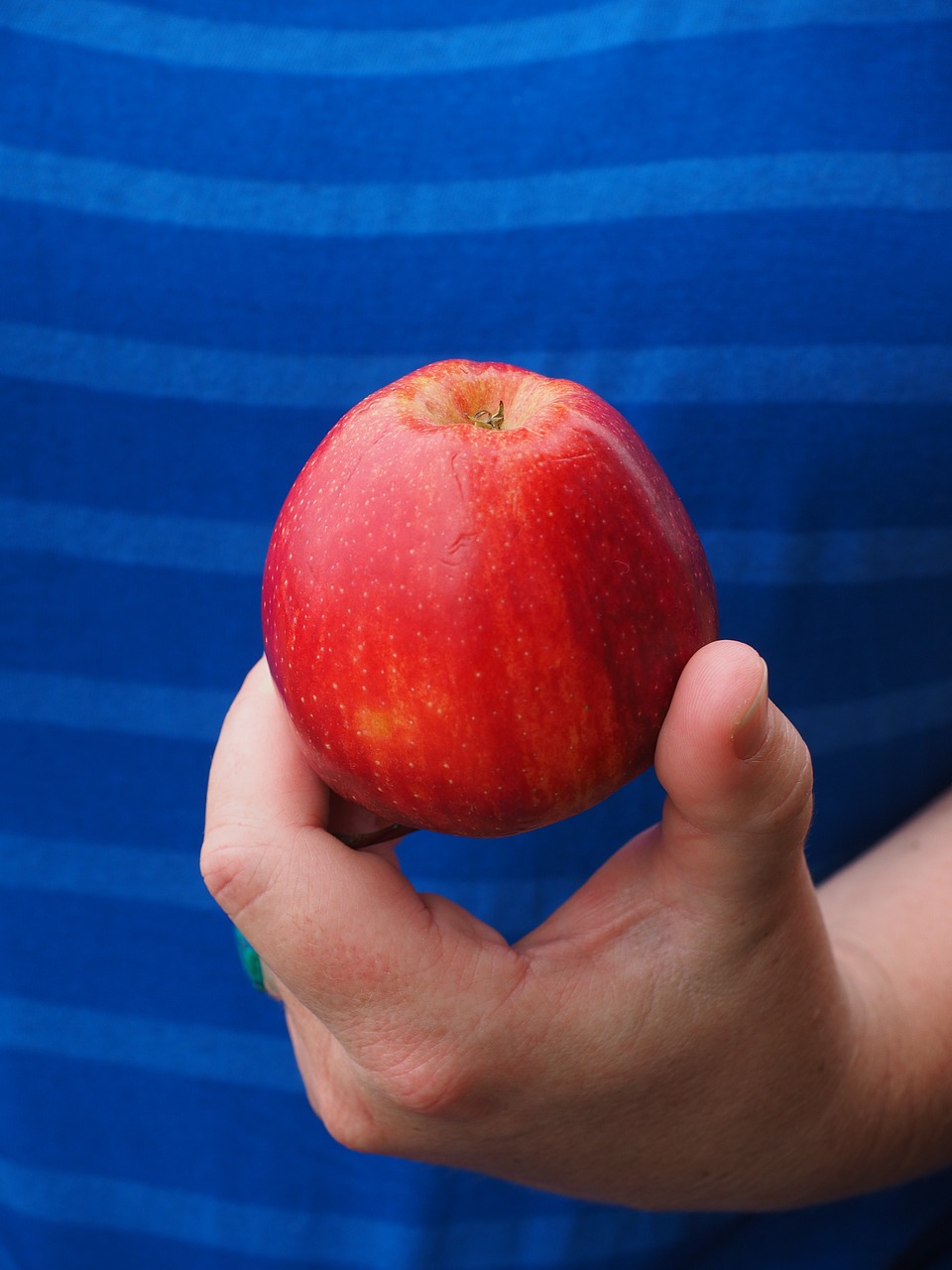 apple red fruit free photo