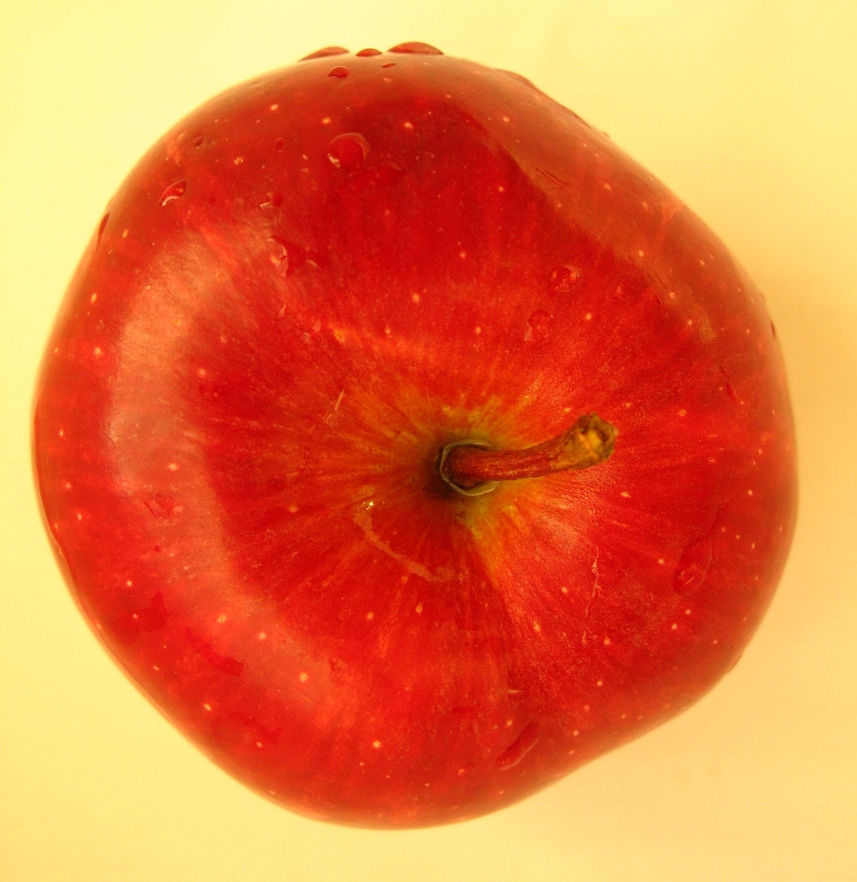 apple fruit red free photo