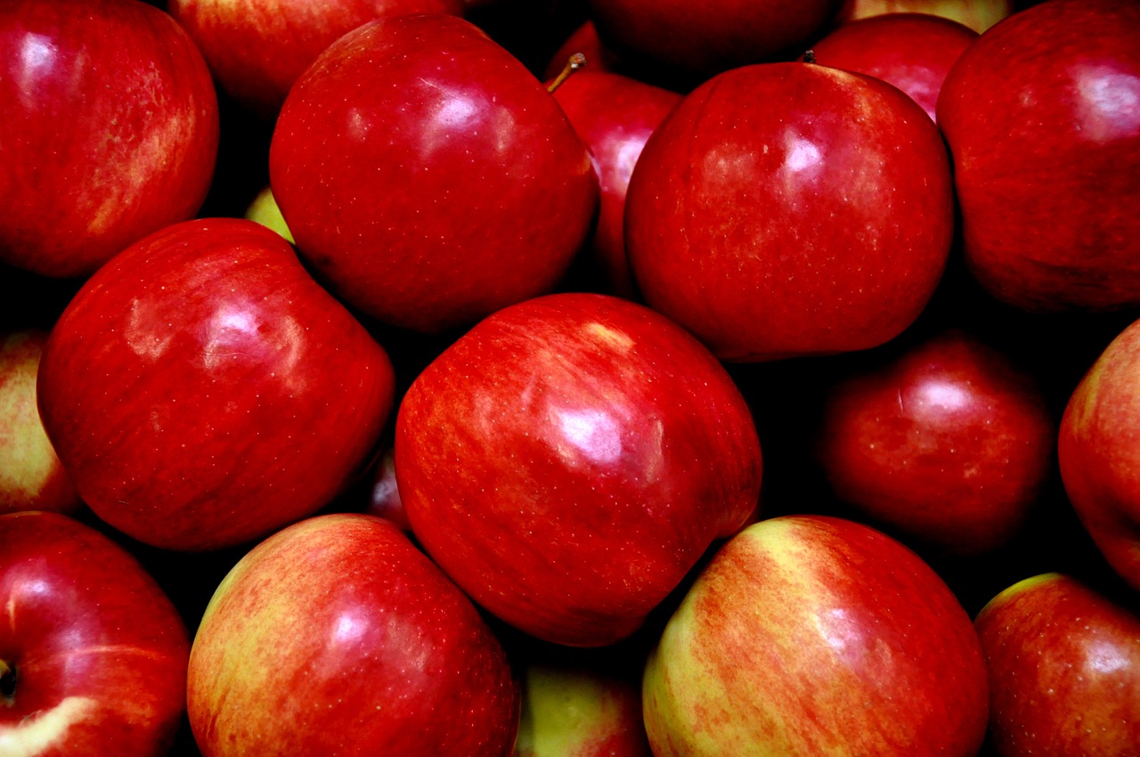 apple red fruit free photo