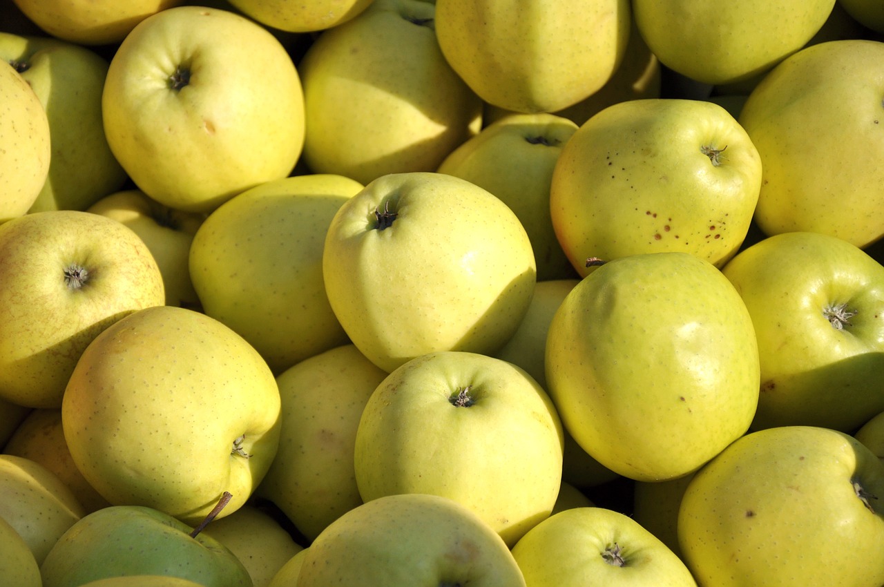 apple fruit food free photo