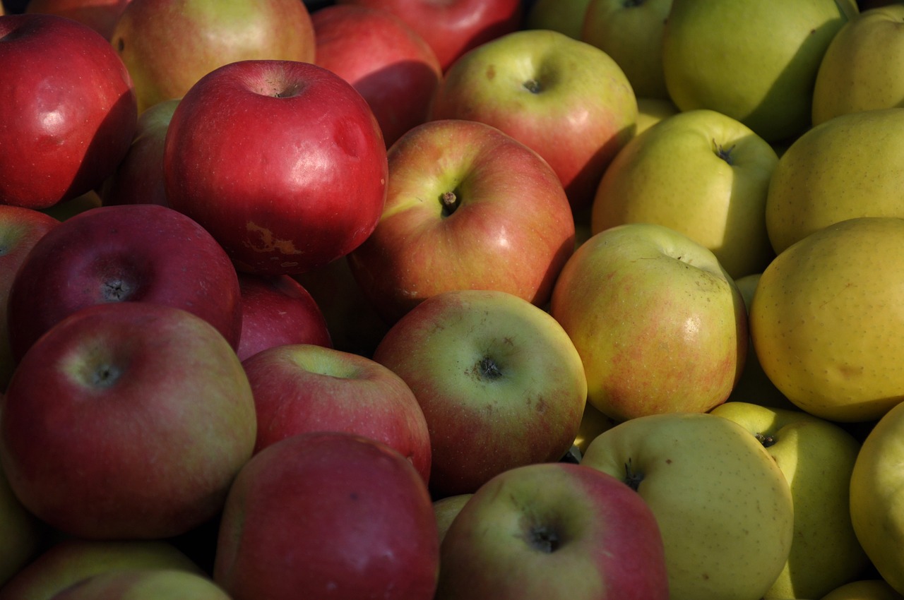 apple fruit food free photo