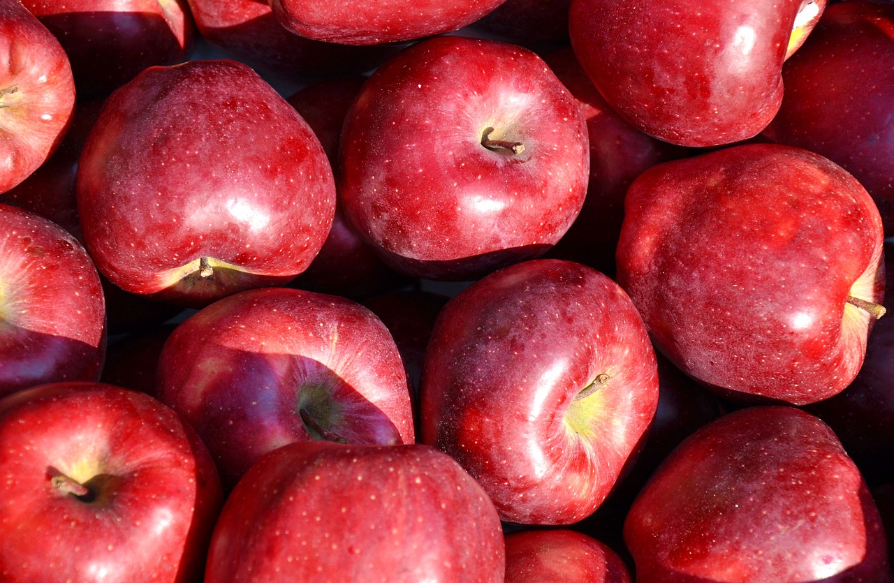 apple fruit food free photo