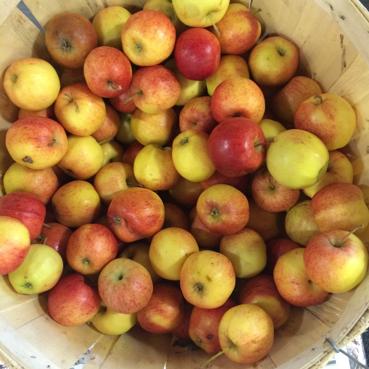 apple fruit healthy free photo