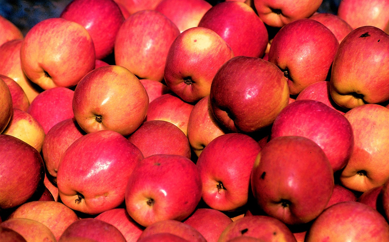 apple fruits food free photo