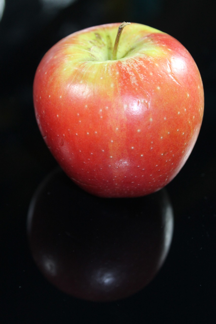 apple red stengel free photo