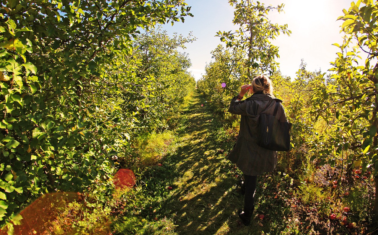 apple farm girl free photo