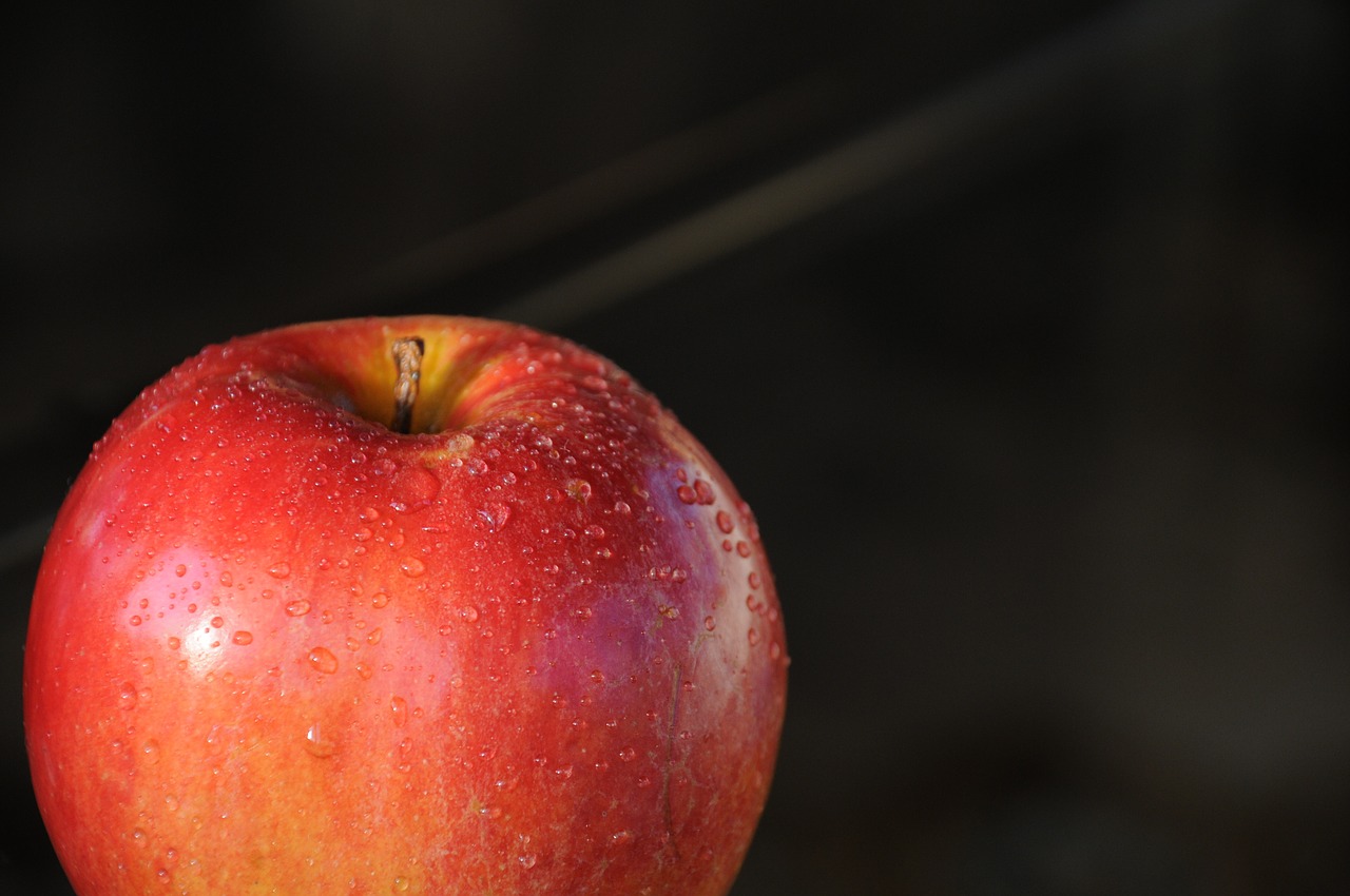 apple fruit autumn free photo