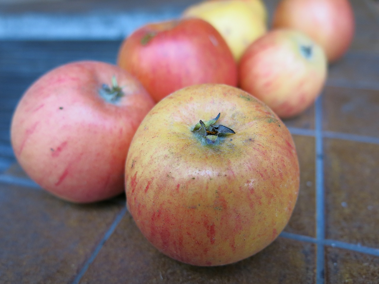 apple fruit autumn free photo