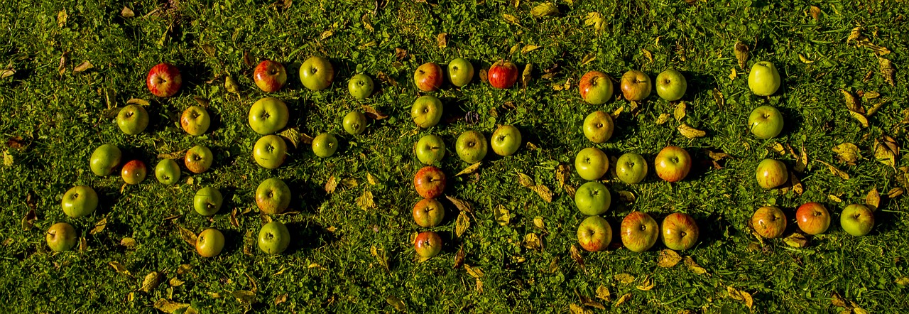 apple letters word free photo