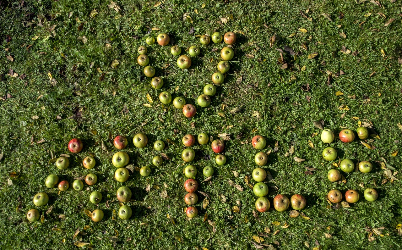 apple heart fruit free photo