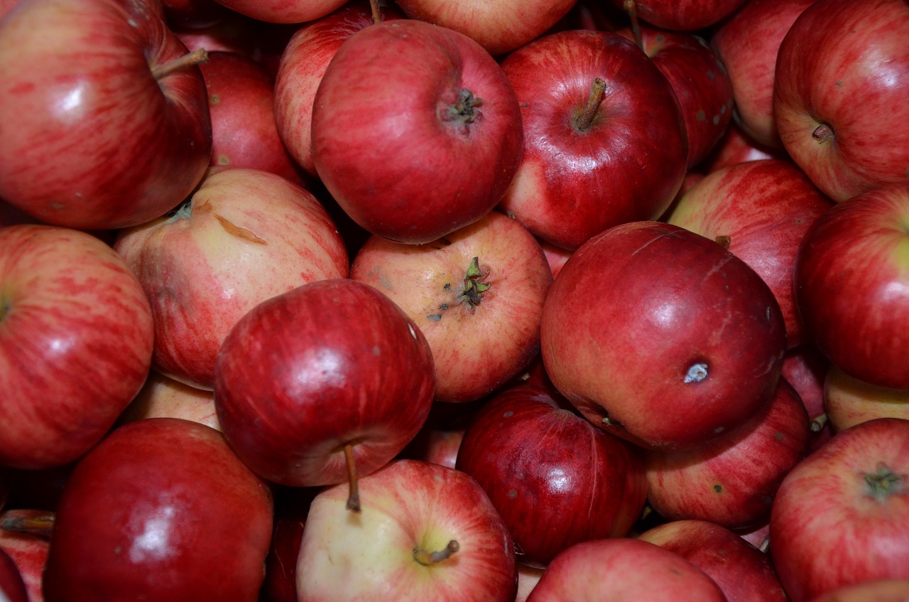 apple apples fruits free photo