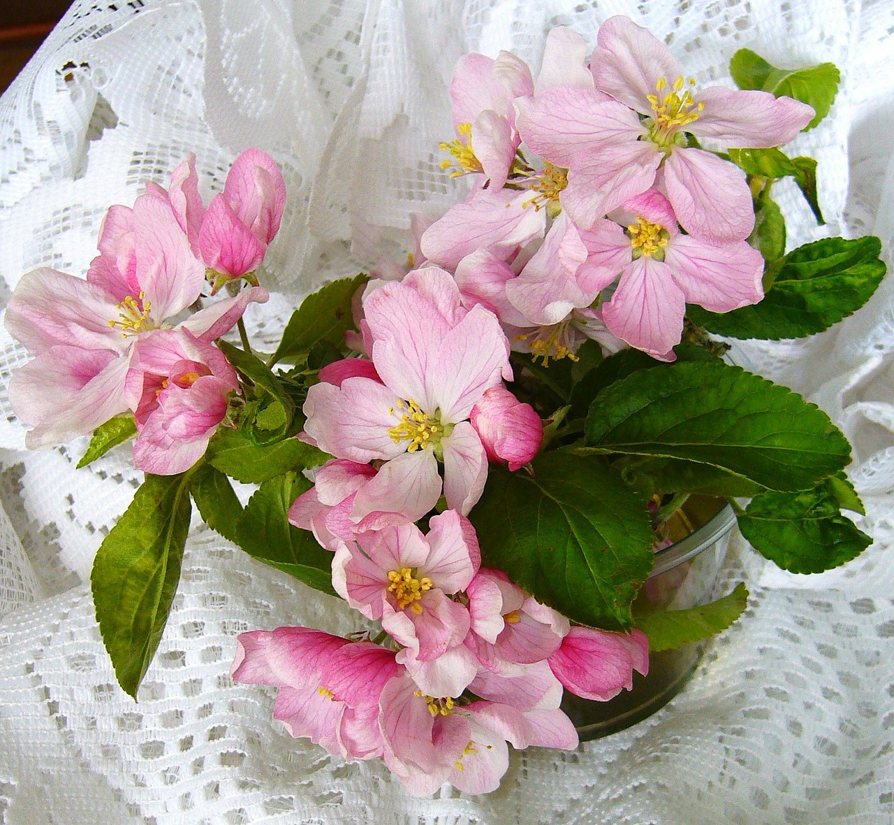 apple blossom flower arrangement free photo