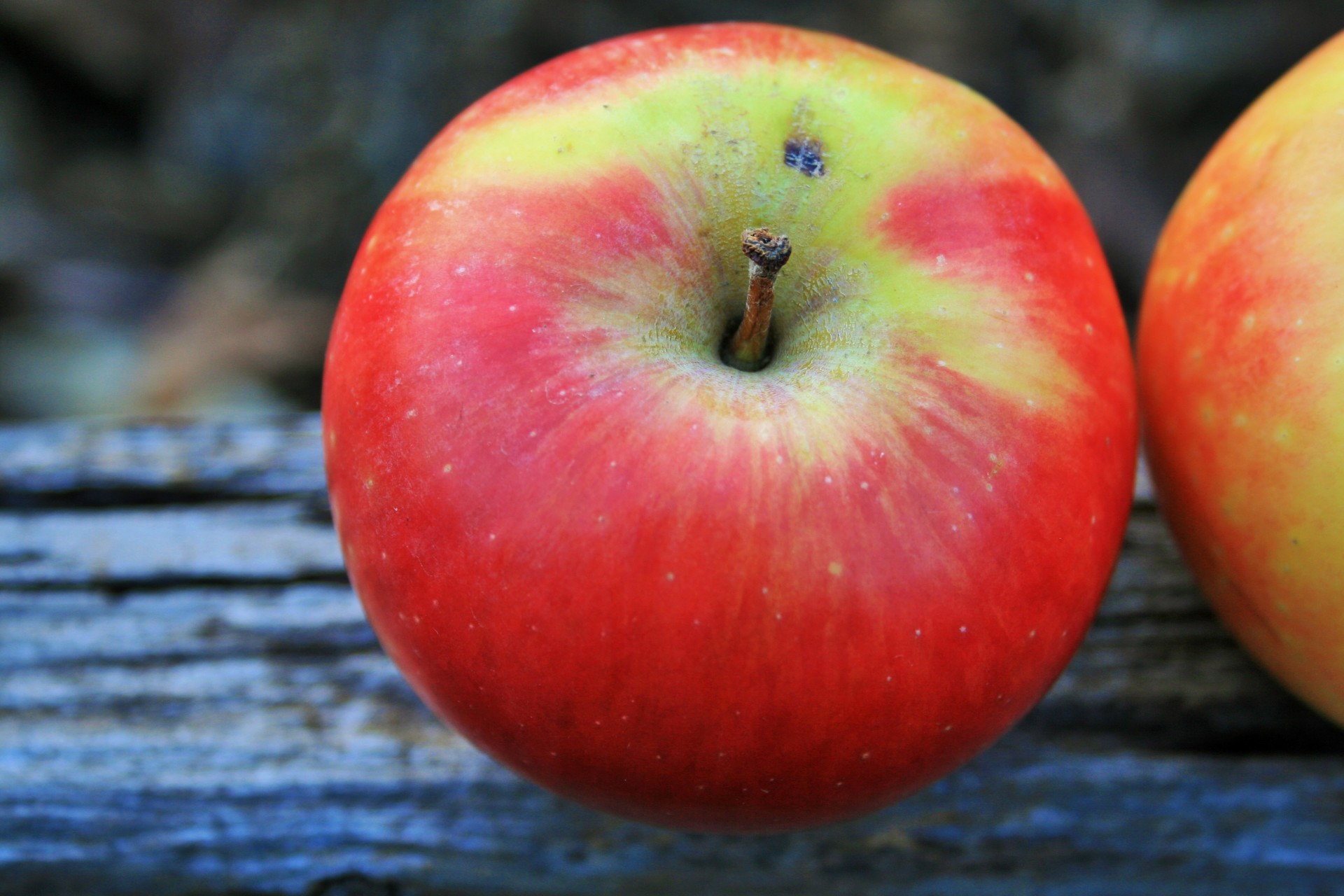 fruit apple red free photo
