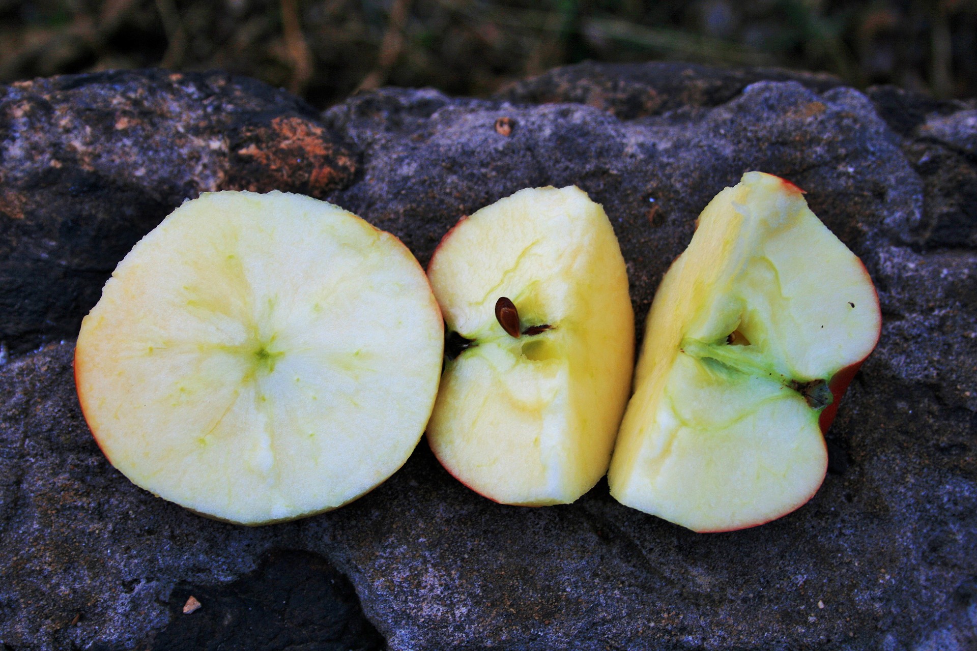 fruit apple sliced free photo