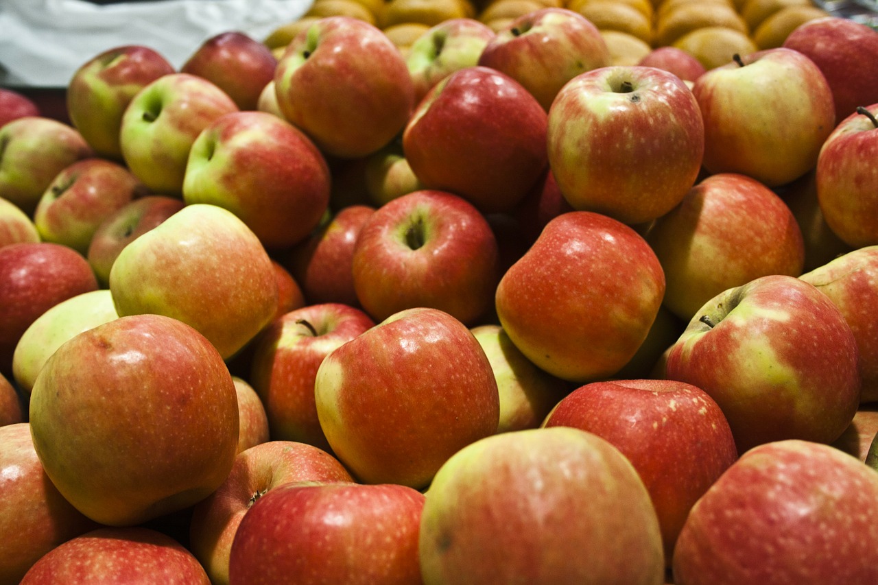apples fruit harvest free photo