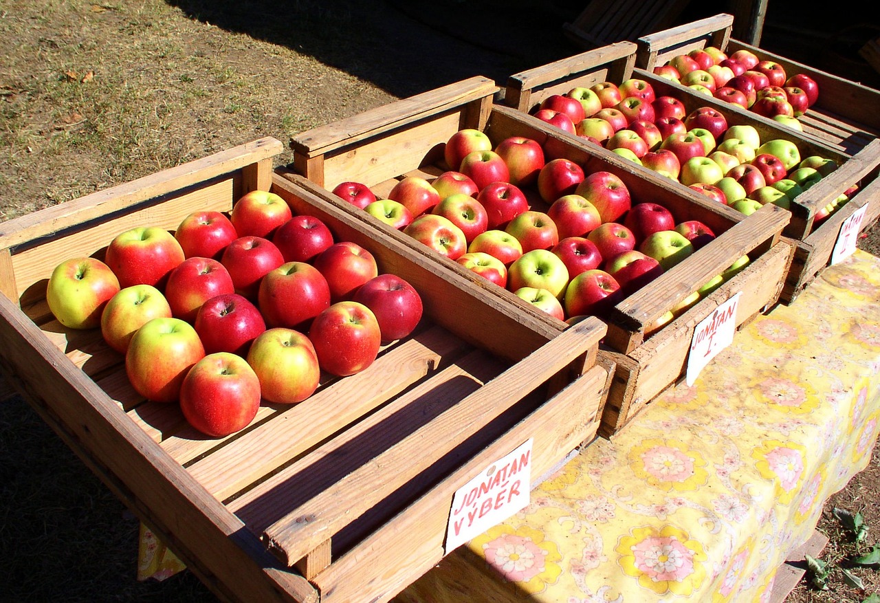 apples fruit apple free photo