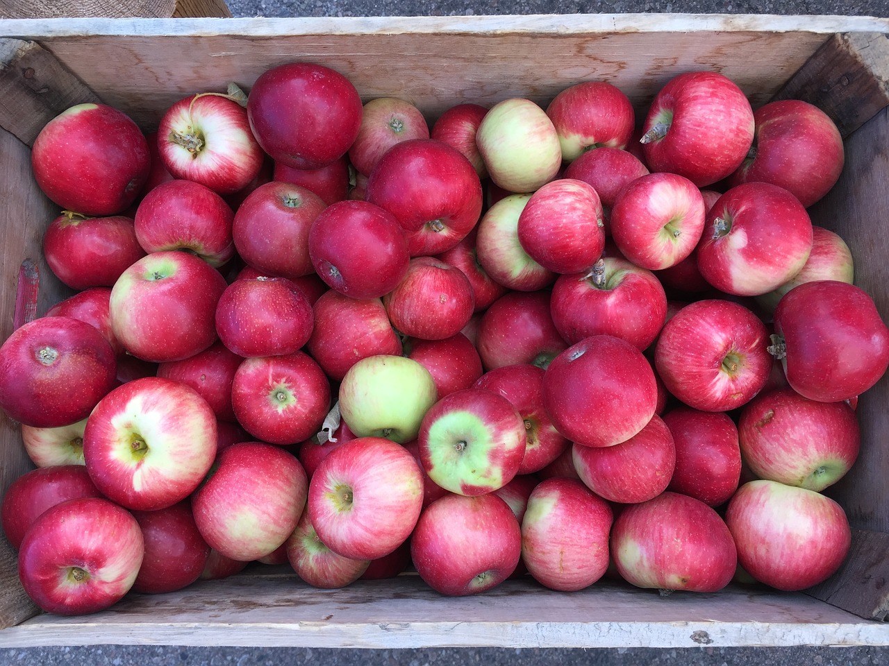 apples farmers market basket free photo