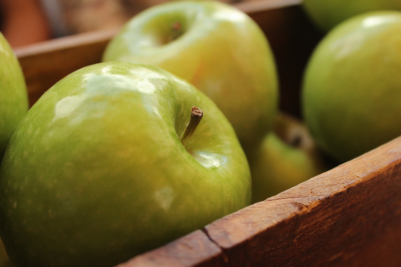 apples close-up food free photo