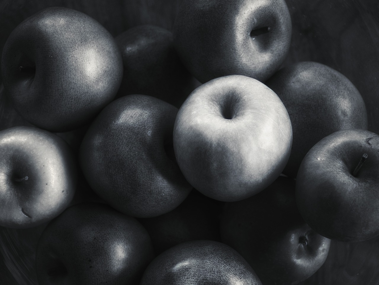 apples black and white forbidden fruit free photo