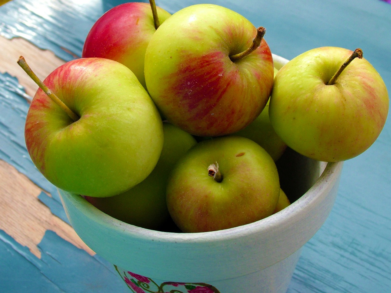 apples pot green free photo