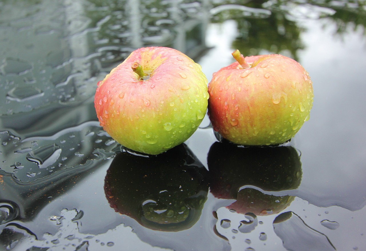 apples rain garden free photo