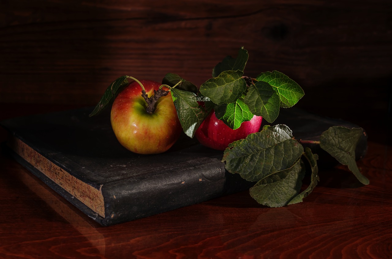 apples notebook autumn free photo