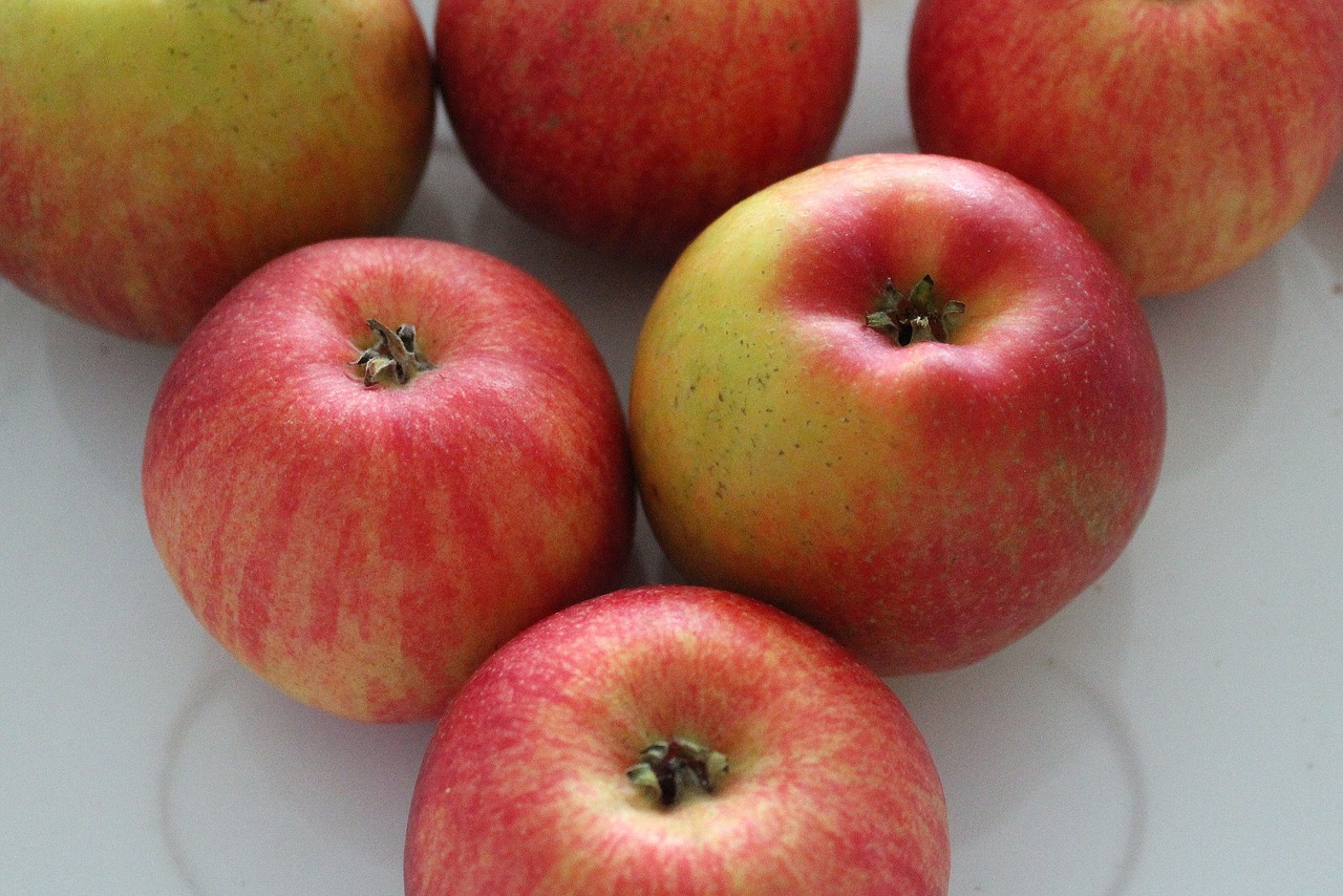 apples fruit vitamins free photo
