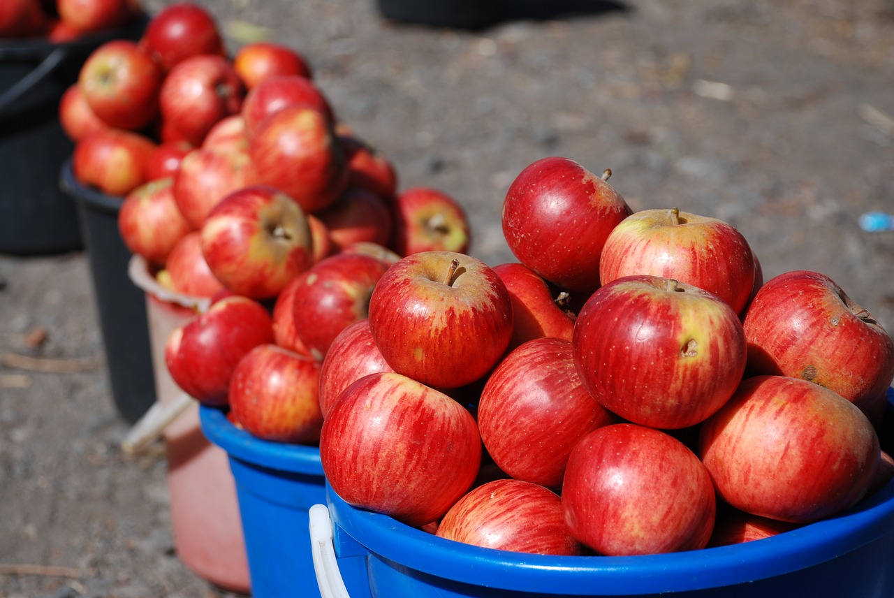 apples roadside sale summer free photo