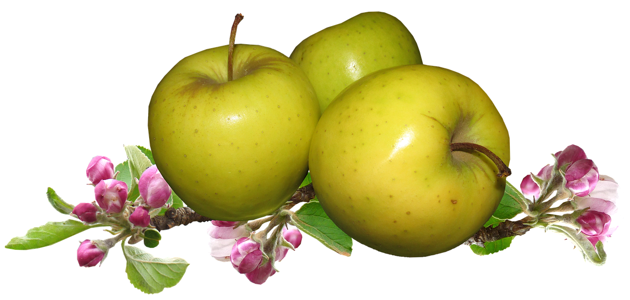 apples  apple blossom  fruit free photo
