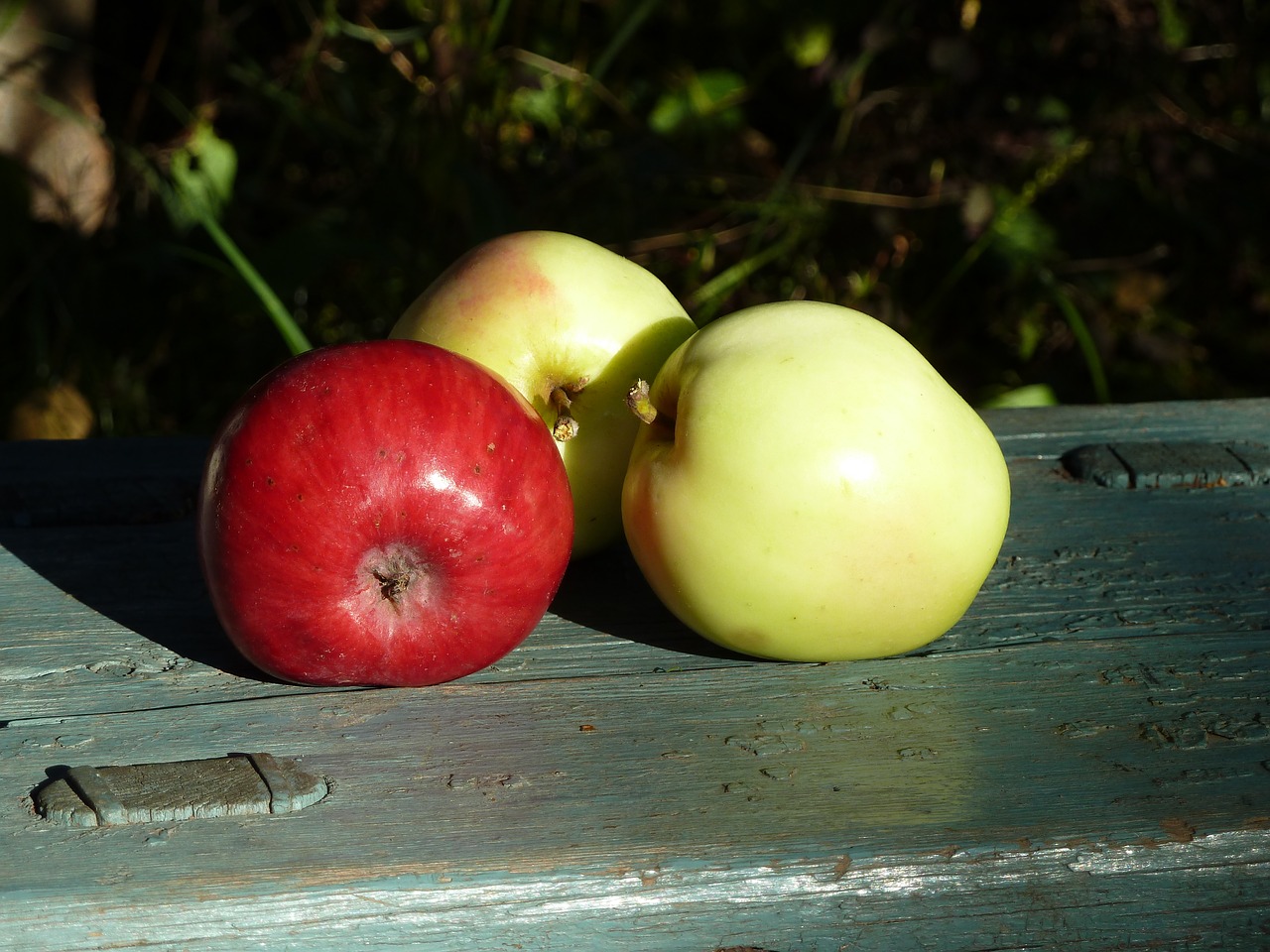 apples  harvest  fruit free photo