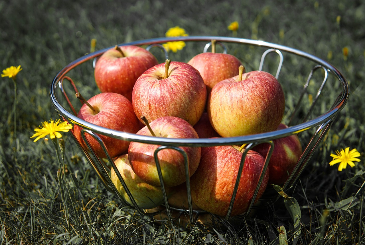 apples  summer  fruit free photo