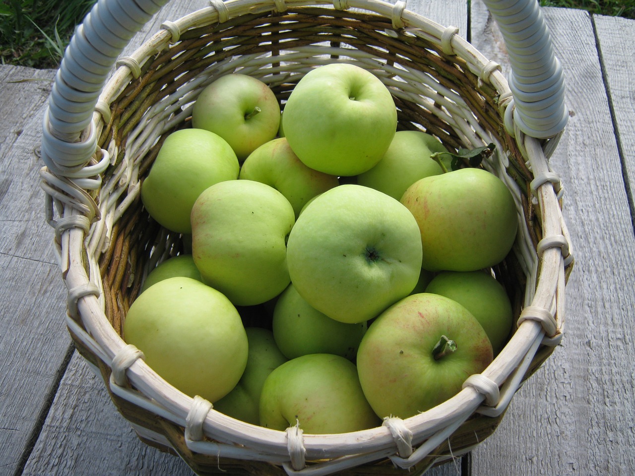 apples  garden  harvest free photo