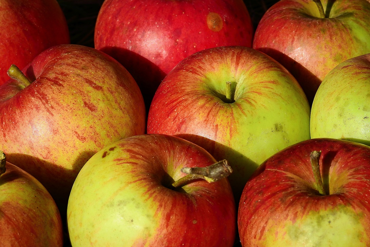 apples  vitamins  fruit free photo
